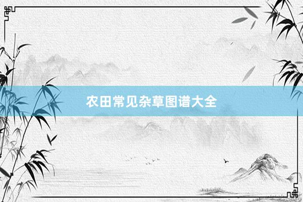 农田常见杂草图谱大全