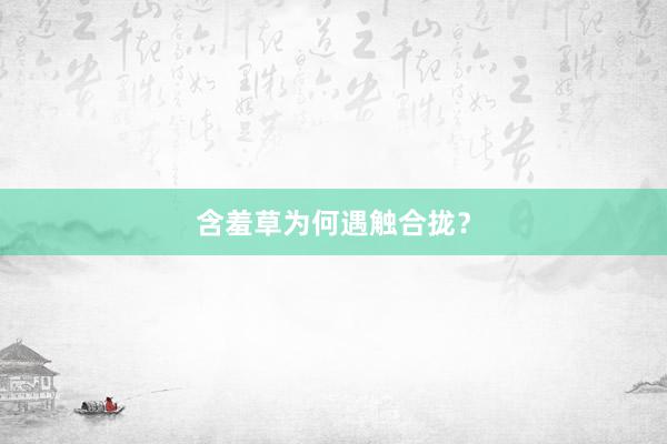 含羞草为何遇触合拢?