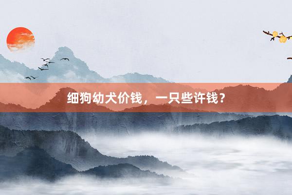 细狗幼犬价钱，一只些许钱？