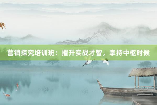 营销探究培训班：擢升实战才智，掌持中枢时候